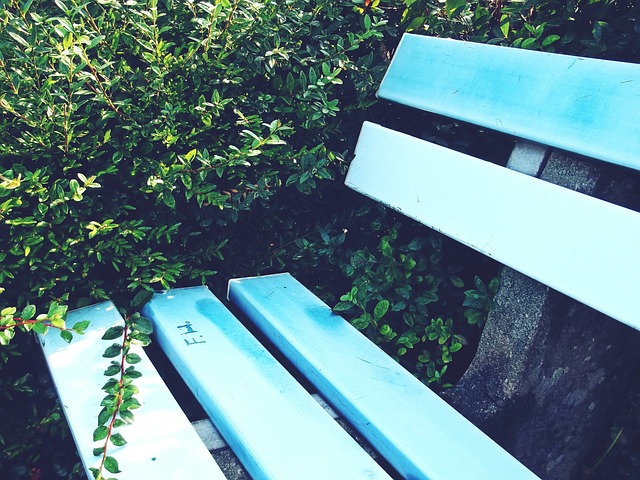 在接下来的 在接下来的