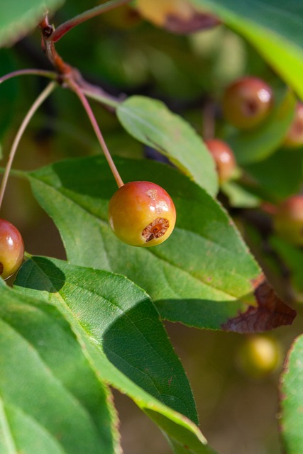 他球员竞相 他球员竞相